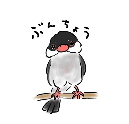 安住麻里 A Twitter 文鳥かわいいよね 桜文鳥のたまに眉毛みたいなグレーの毛が混じるのとやきもち焼きなところが好きです 文鳥