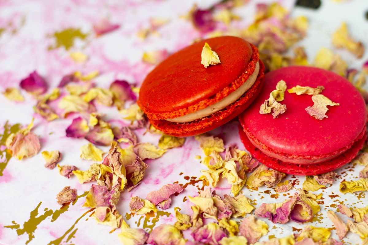 Planète Chocolat tweet media