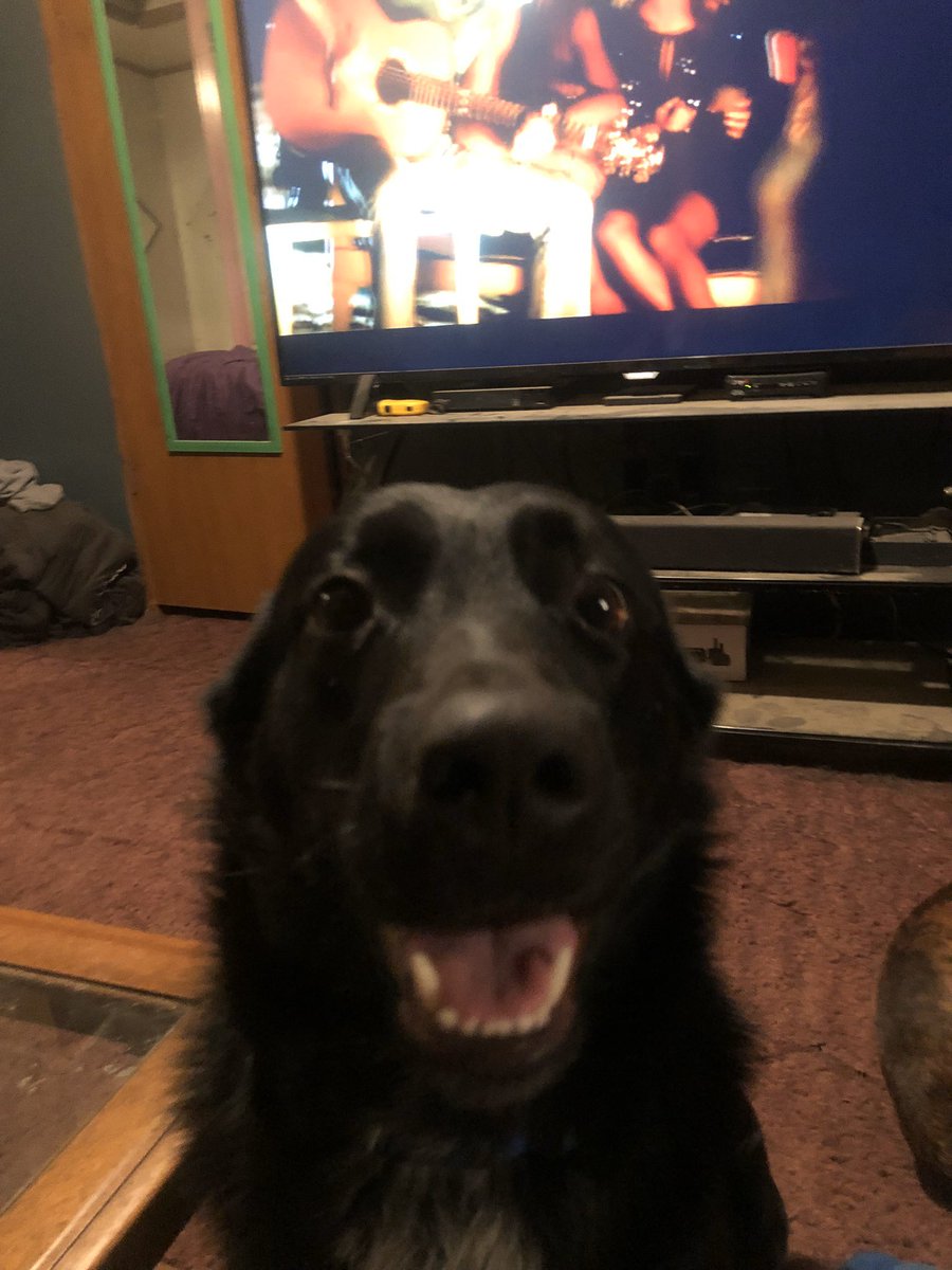 cooperbear4's tweet photo. #upearly #letsgobacktobed we are up early this morning and we don’t like it ! But mommas getting ready for her new job ! We will miss her today , we had 2 weeks with her ,, why she gotta go to work 😞😴😴😞 https://t.co/bhJU7h5gHM