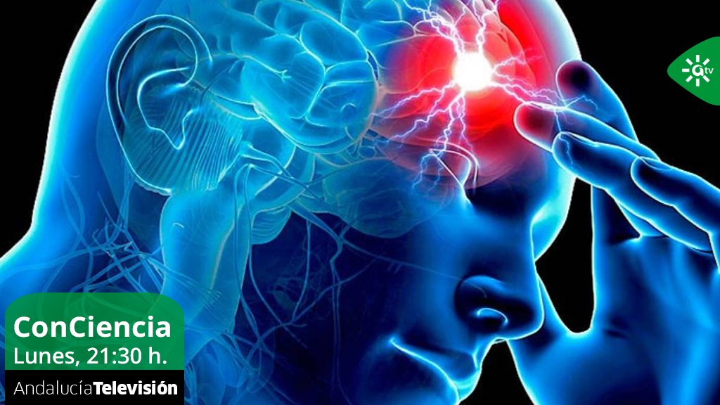 canalsur's tweet photo. 🧠 ¿Conoces la importancia de la detección temprana del #ictus? @ibis_sevilla nos da a conocer el proyecto #BIOFAST, del @HUVMacarena y el @HospitalUVRocio, en @ConcienciaRTVA. Con @FatimaRuizGonza | ⌚️ 21:30 h. #AndalucíaTV 📺 Más info.ℹ️https://t.co/Q5CZHvxMwg https://t.co/InXmEcXXkd