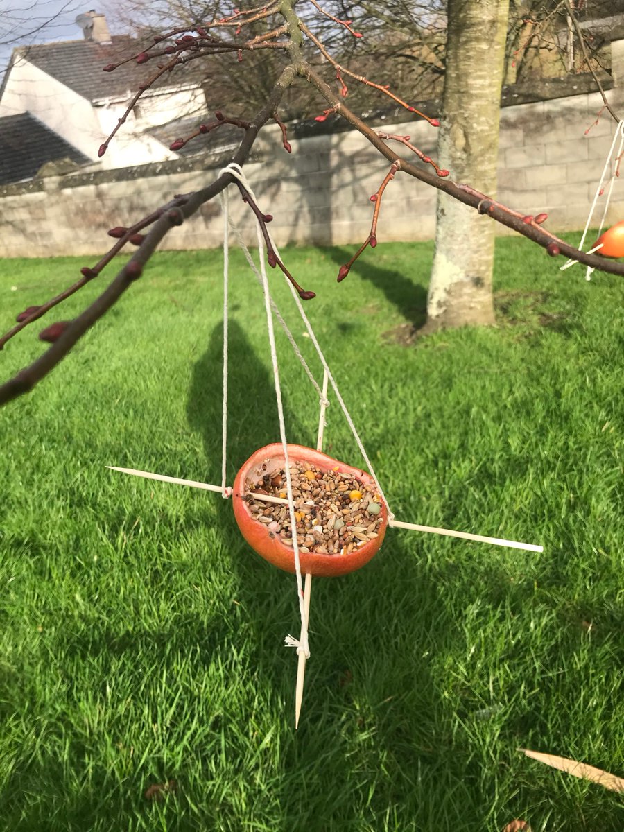 A taste of what we completed in our recent gardening group in Kilmallock day centre. #handson #promotingmentalhealth #meaningfuloccupations