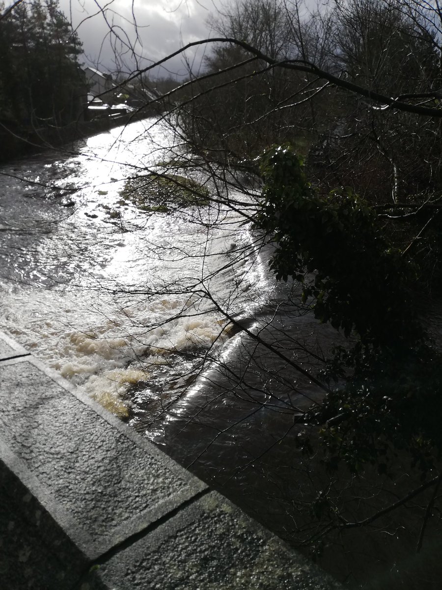 DougallMara's tweet photo. Crossing a rather ferocious Allan en route to @StirUni to discuss the joys of 3rd person narrative modes...she said, wondering if it would rain again before she got there. Probably. But that was okay. She liked the rain really. #creativewriting #focalisation #freeindirectstyle https://t.co/cTLQajw3pE