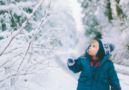 BerkshireMacKid's tweet photo. It's almost February Vacation and Mount Greylock State Reservation is hosting a plethora of family-friendly activities that you don't want to miss. Oh, did I mention they're all FREE.

See our list at https://t.co/BIJfUkn6xh

#theberkshires #lanesboroughma https://t.co/KPuW4q9654