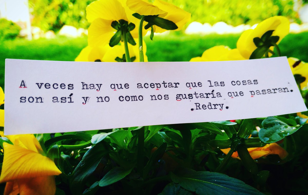 Redry13's tweet photo. A veces... https://t.co/HqFTBqOuAV