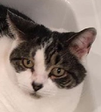 OutlanderLrg's tweet photo. Só digo uma coisa... se um dia... digo se um dia... Eddie estiver deitada na cabeça do vampiro como faz com o @ aí podemos começar a conversar sobre deixar o navio... até lá nada do que os @s fizerem faz diferença pra mim...🤷♀️😏 #AChave #ElaAmaSam #SabeOQueÉBom https://t.co/GK8W0U0Lcd