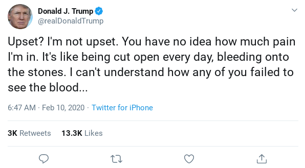 birdman!! tweet media