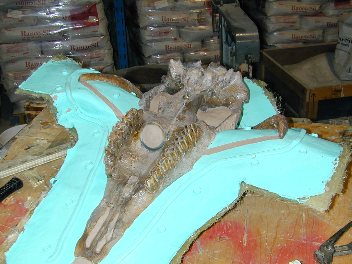 ResearchCasting's tweet photo. If you 'musk' ask, this is a #MuskOx skull.🐮 The molding process is colourful, needless to say. As the rubber sets, it picks up all the details and features of the specimen, allowing for the casting of a realistic skull replica.
.
.
.
#MoldingMonday #rescast #animalskull https://t.co/HXGg45hCjB