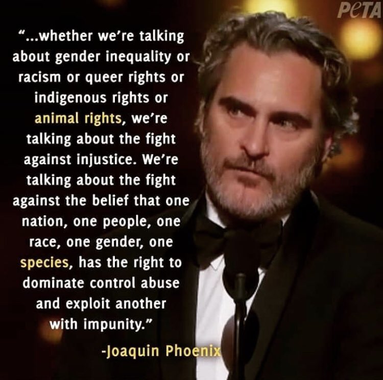 ItAllVeganWithFriends (@allveganfriends) on Twitter photo 