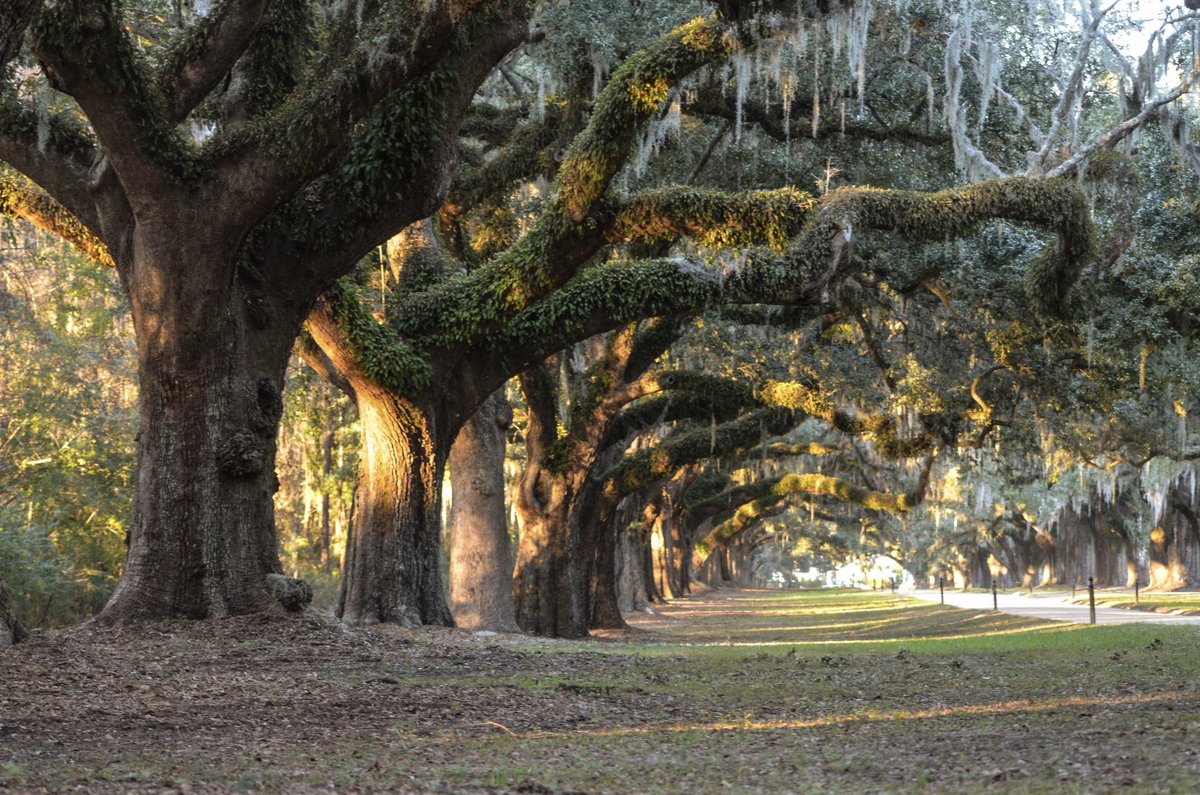 Happy #FunTravelChat Day! We're following up on the #Oscars and want to know what award-winning places you've been to recently! For added fun, tell us the category they'd win and don't forget to tag <a href="/travthroughlife/">Carl | Travel Through Life</a> and <a href="/CharlesMcCool/">Charles McCool ✈️</a> in your answers:) #travel