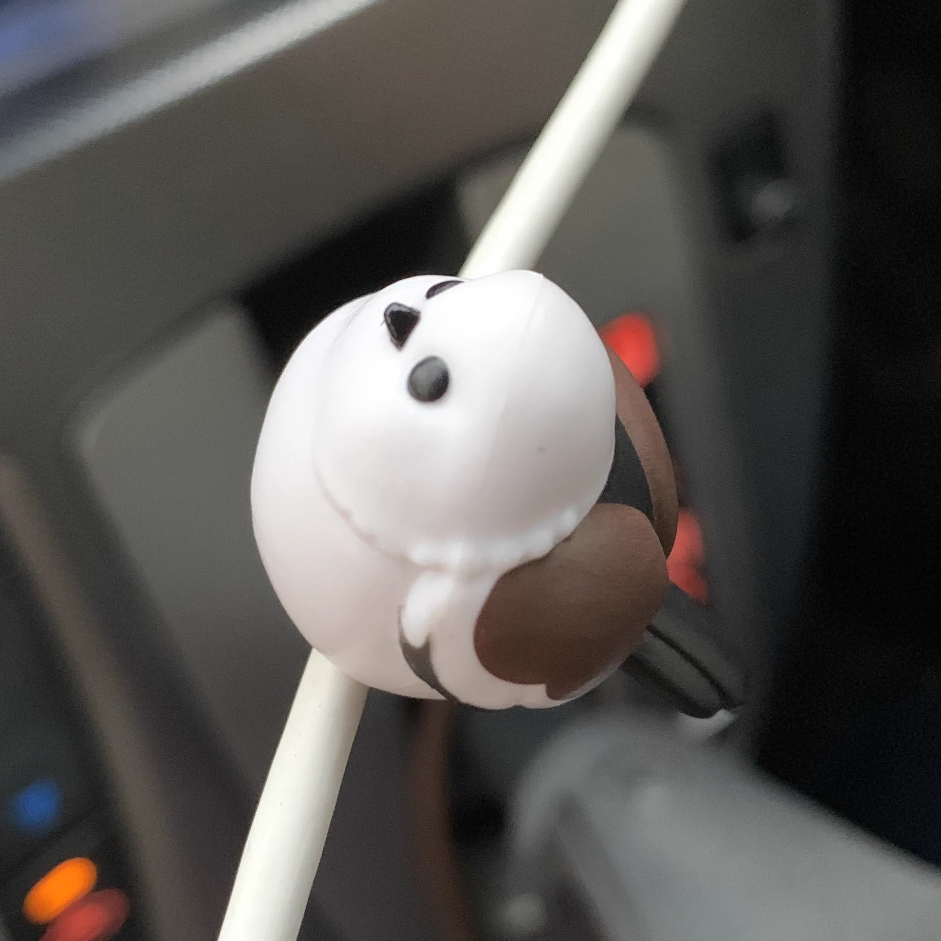 @daily_simaenaga 車のUSBケーブルにとまってます
.｡･｡*o○♡ 