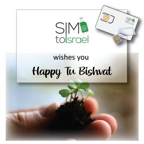 simtoisrael's tweet photo. Happy #TuBishvat from SIMtoIsrael.

Plant a 🌱 tree 🌳 in #Israel and #StayConnected 📱 with your friends and family 😊.
Get a great deal for an Israeli SIM card.

🇮🇱 https://t.co/NQpfGoSEWG 🇮🇱

#snapir,#israelisimcard, #SimToIsrael #PrepaidSimCards https://t.co/YpP5OGtZWl
