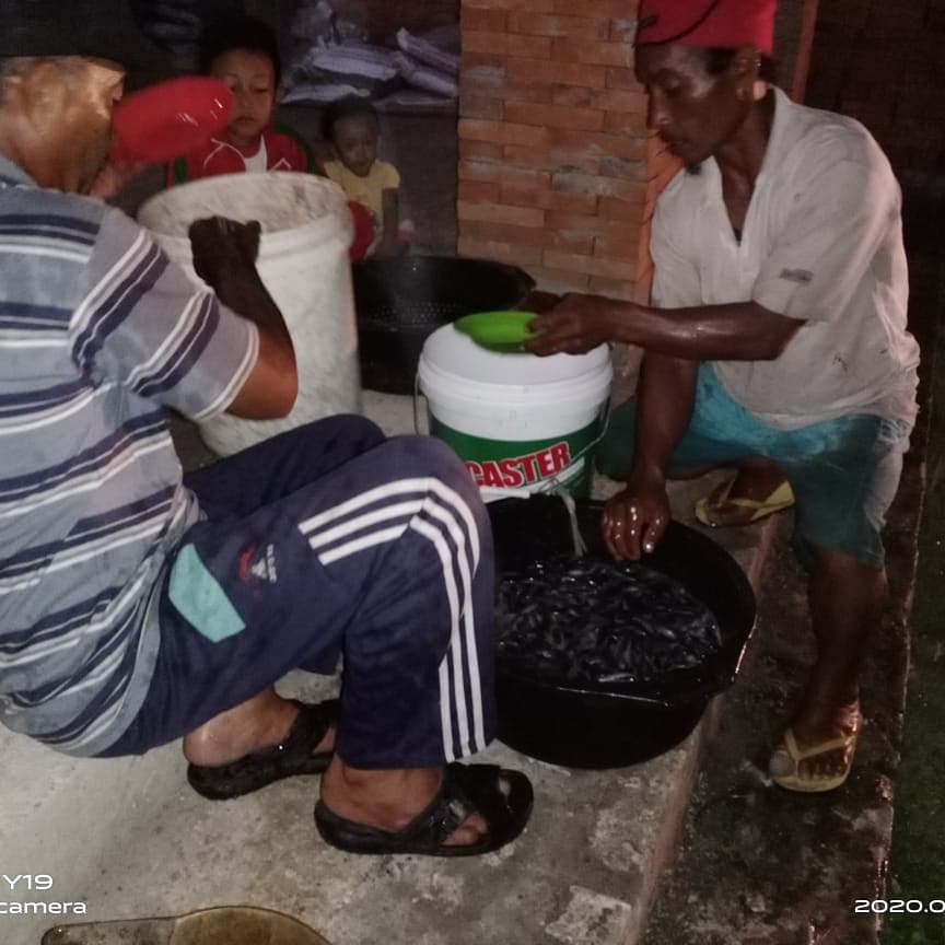 BumdesaGading's tweet photo. Pembelian bibit lele dilakukan 2 kali. Total keseluruhan 7500 ekor. 
Dari jumlah tersebut dibagi dalam 5 kolam terpal. 
Kami membeli bibit dengan ukuran panjang ±3-5 cm.
#budidayaikan #ikanlele #perikananindonesia
#bumdesagadingkamulyan #gadingtambakrejo #bojonegoro https://t.co/b1J7ZKcidy