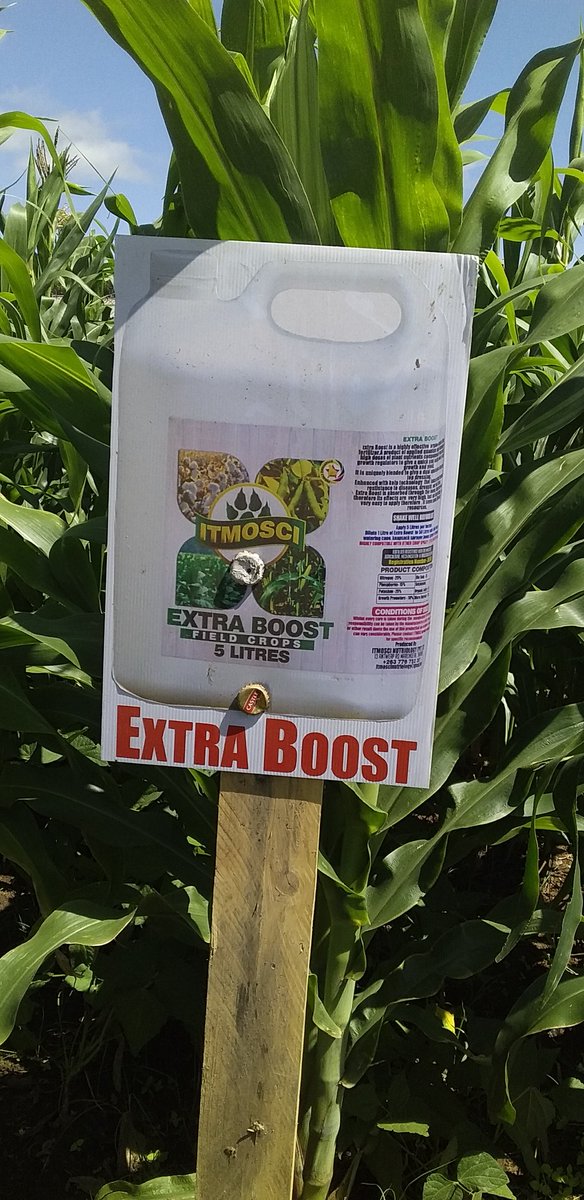 Itmosci Nutriology Fertilizer Co. tweet media