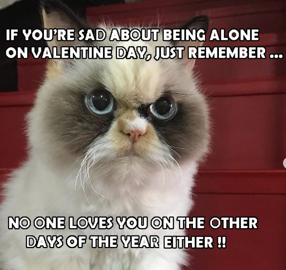 DoraQetesh's tweet photo. #StValentin #stvalentinday #funny #grumpycat https://t.co/7bDW60FztJ