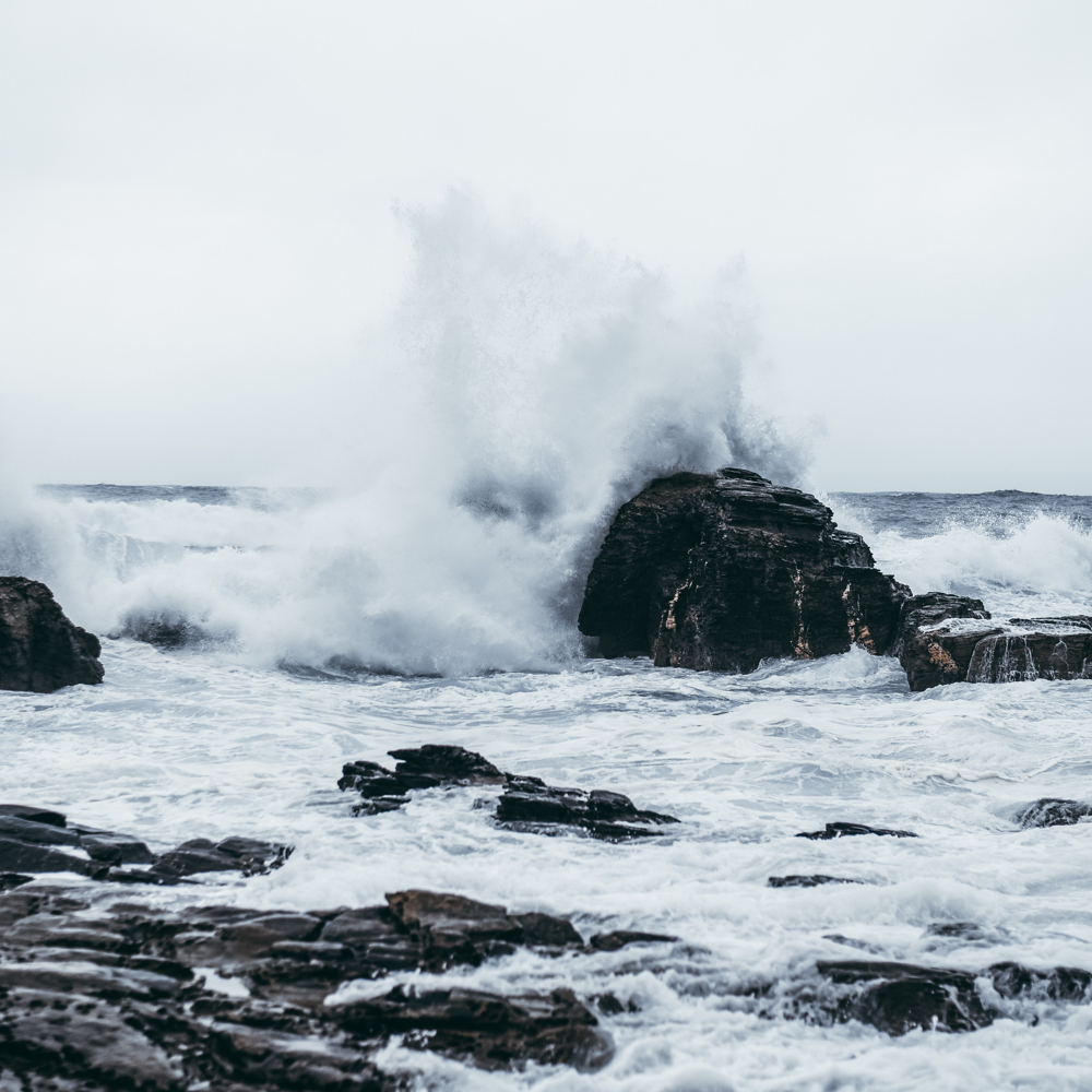 Verto Homes tweet media