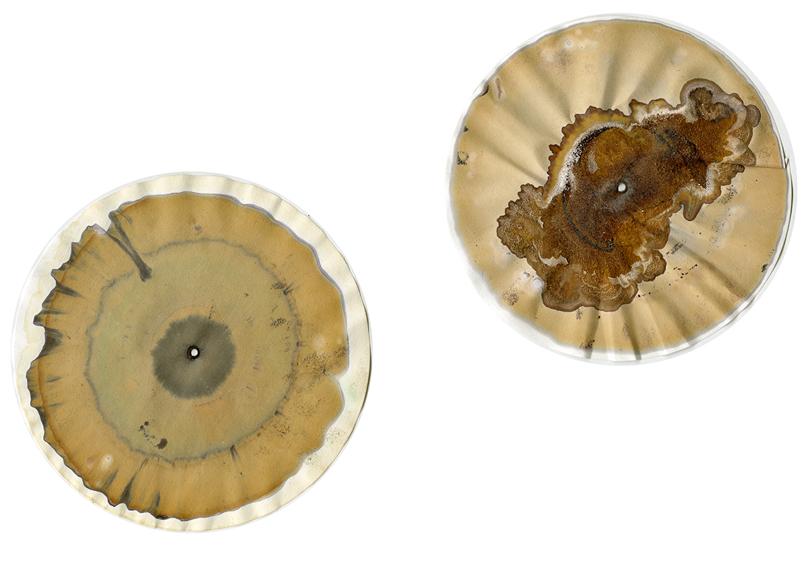 revolvcollectiv tweet media