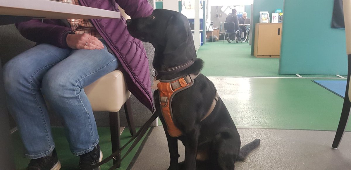 One of our first new customers to the cafe - meet impeccably behaved Alfie!😍🐕🐾