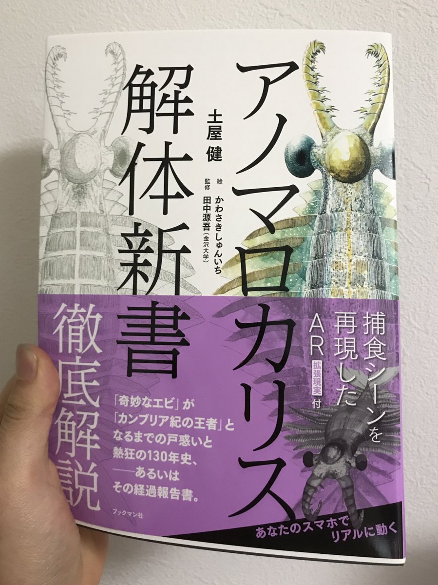 発売を楽しみにしていた『アノマロカリス解体新書』を買いました!
アノマロカリスの現状の有力な復元や生態を解説してくれる本です
まだ最初の50ページくらいしか読んでないですが、すでにとても資料性が高くて素晴らしいです?
古代生物を描かれる方に広くおすすめしたい 