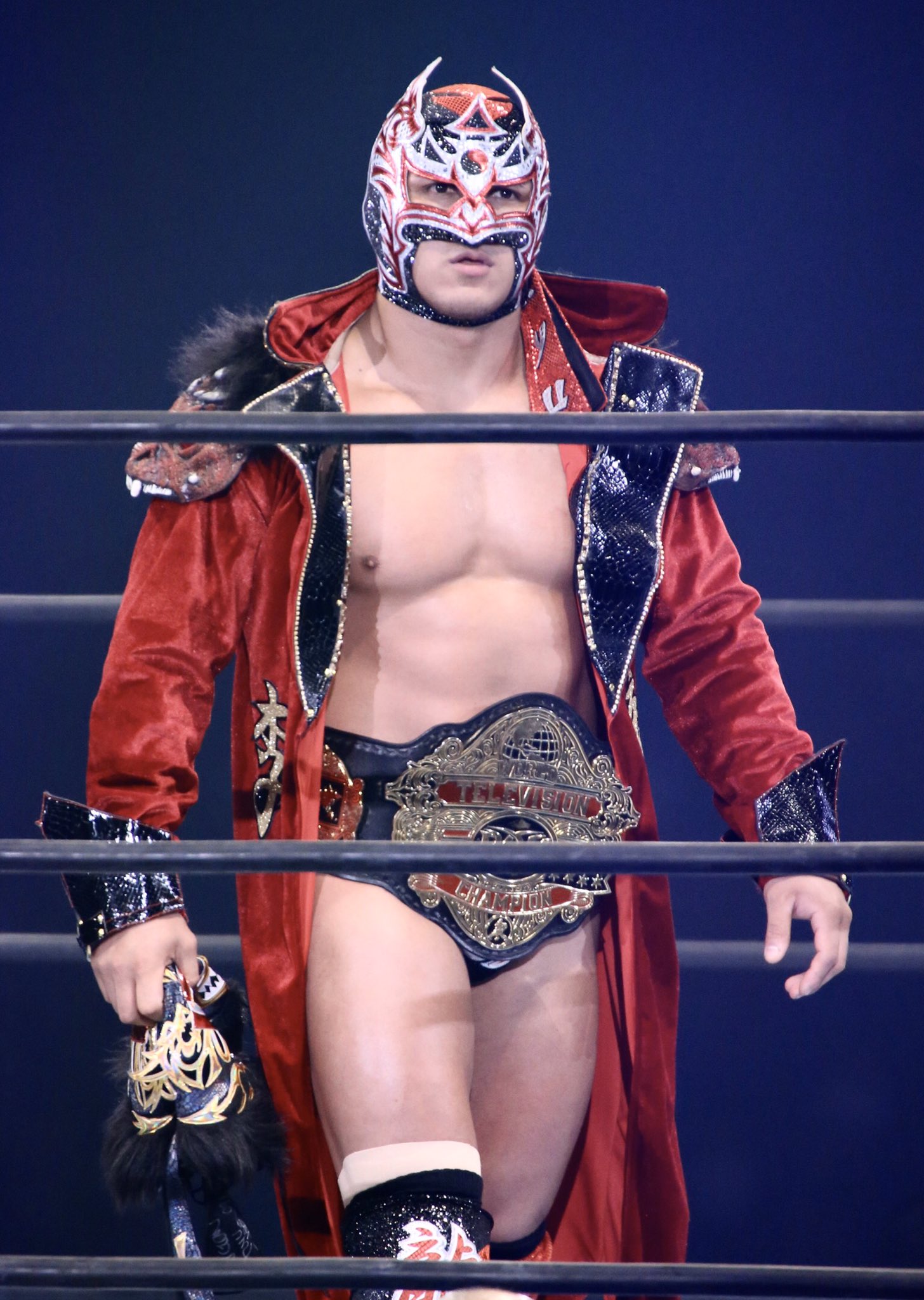 ミスティコ セミプロ覆面 ルーシュ ドラゴン・リー リュウ・リー CMLL Amazon.co.jp: ミスティコ セミプロ覆面 ルーシュ ドラゴンリー
