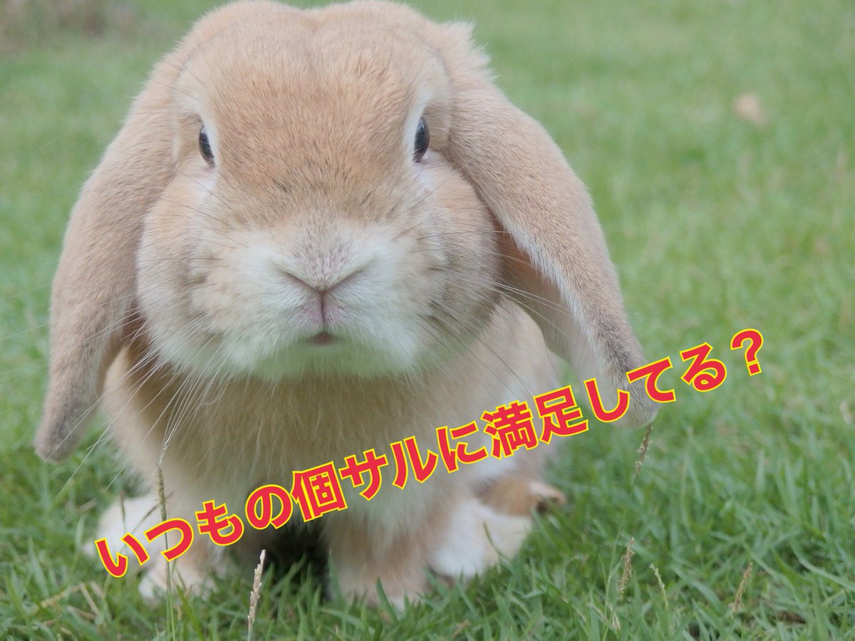 SalClasico's tweet photo. 普通の #個サル じゃモノ足りないと感じていませんか?

#サルクラシコ ではお客様により楽しんでいただけるよう毎回バロンドール受賞者を選出!

バロンドール受賞者にはなん��!
＿人人人人人人人人人人＿
＞オリユニプレゼント!!＜
￣Y^Y^Y^Y^Y^Y^Y^Y^Y￣

ご予約は公式HPから
https://t.co/vjDyF0ToXs https://t.co/onzi3elWjk