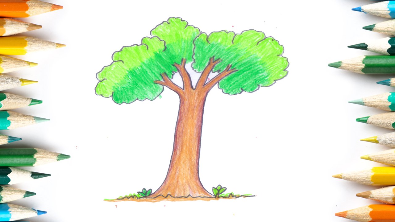 Drawing trees for kids step by step tree drawing  The Kitchen Table  Classroom