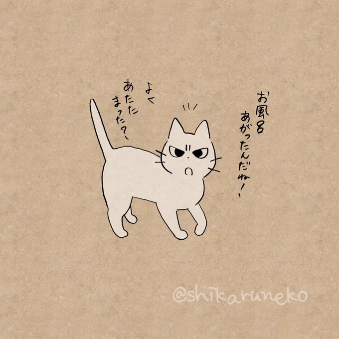 ついつい湯冷めしてしまう人を叱ってくれる猫 