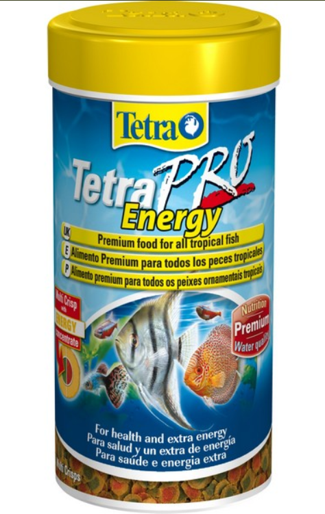PointPoseidon's tweet photo. All Tetra Aquarium Food currently 20% Off. Limited time only.

High quality fish foods from @TetraFish @Spectrum_Brands 

Nationwide Delivery In The Uk.

https://t.co/3pUZ0LqQ9h

#aquarium #aquariumfish #fishkeeping #angelfish #discusfish #tetra #cichlids #tropicalfish https://t.co/Q8jPtD8EBs
