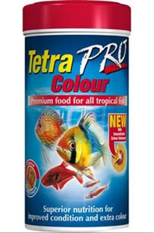 PointPoseidon's tweet photo. All Tetra Aquarium Food currently 20% Off. Limited time only.

High quality fish foods from @TetraFish @Spectrum_Brands 

Nationwide Delivery In The Uk.

https://t.co/3pUZ0LqQ9h

#aquarium #aquariumfish #fishkeeping #angelfish #discusfish #tetra #cichlids #tropicalfish https://t.co/Q8jPtD8EBs