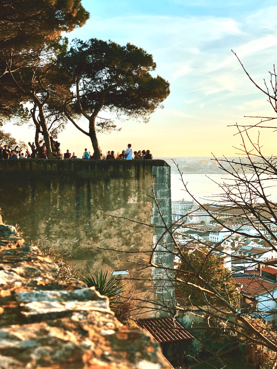 greenlisboa2020's tweet photo. We're in the garden at the top of the highest hill in Lisbon, the garden of São Jorge Castle. Its walls surround trees, bushes and herbs of the national flora and you get a sense of history all around. Besides the enviable view, it reminds us that this is where Lisbon began!🏰 🌳 https://t.co/xdLIh71Syu