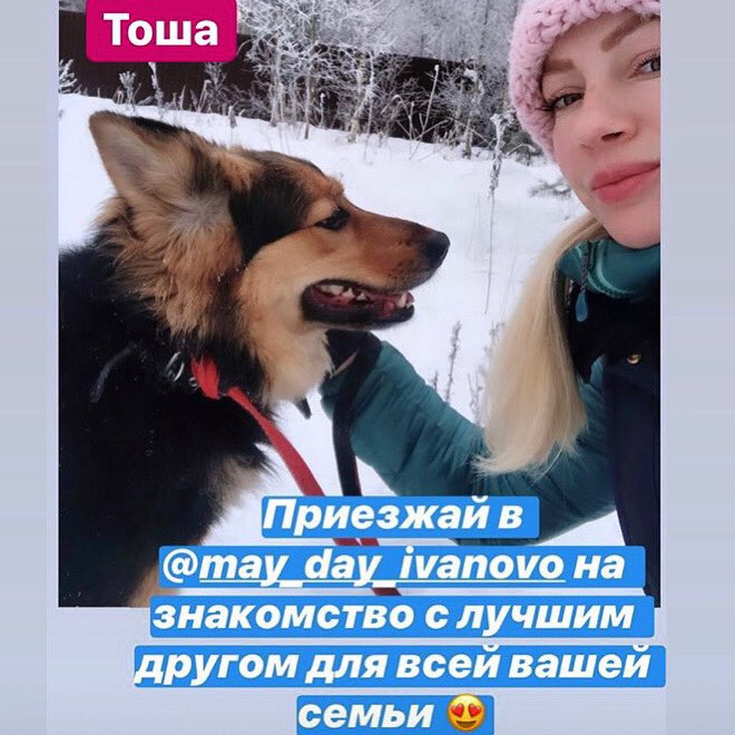 Наталья Богданова (@natus_ya) on Twitter photo 