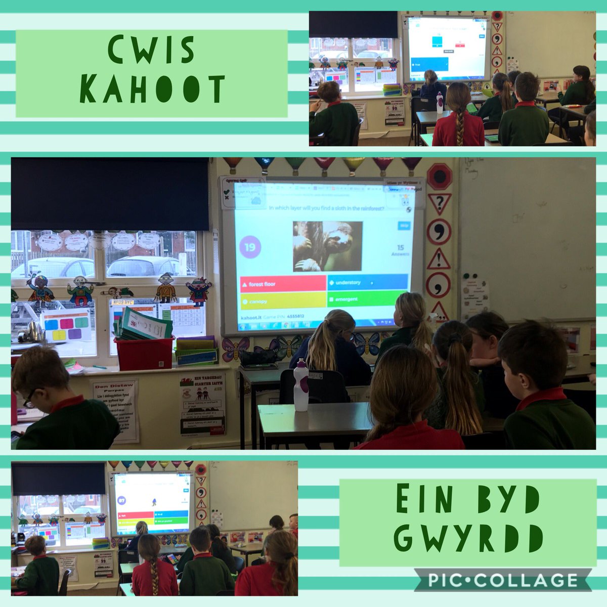 MrsRRobertsMRh's tweet photo. Dosbarth Gwenllian wedi mwynhau y cwis kahoot heddiw am Ein Byd Gwyrdd! Dosbarth Gwenllian enjoyed the kahoot quiz today about Our Green World! #hwyl #fun #cydweithio @MorfaRhianedd https://t.co/YPozgDDS2I