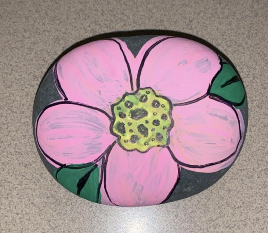 sequoitwellness's tweet photo. Beautiful and inspirational kindness rocks from Megan Quiroz for some @sequoitwellness bonus points! #sequoitwellness #witnessthewellness https://t.co/InbuBgECEH