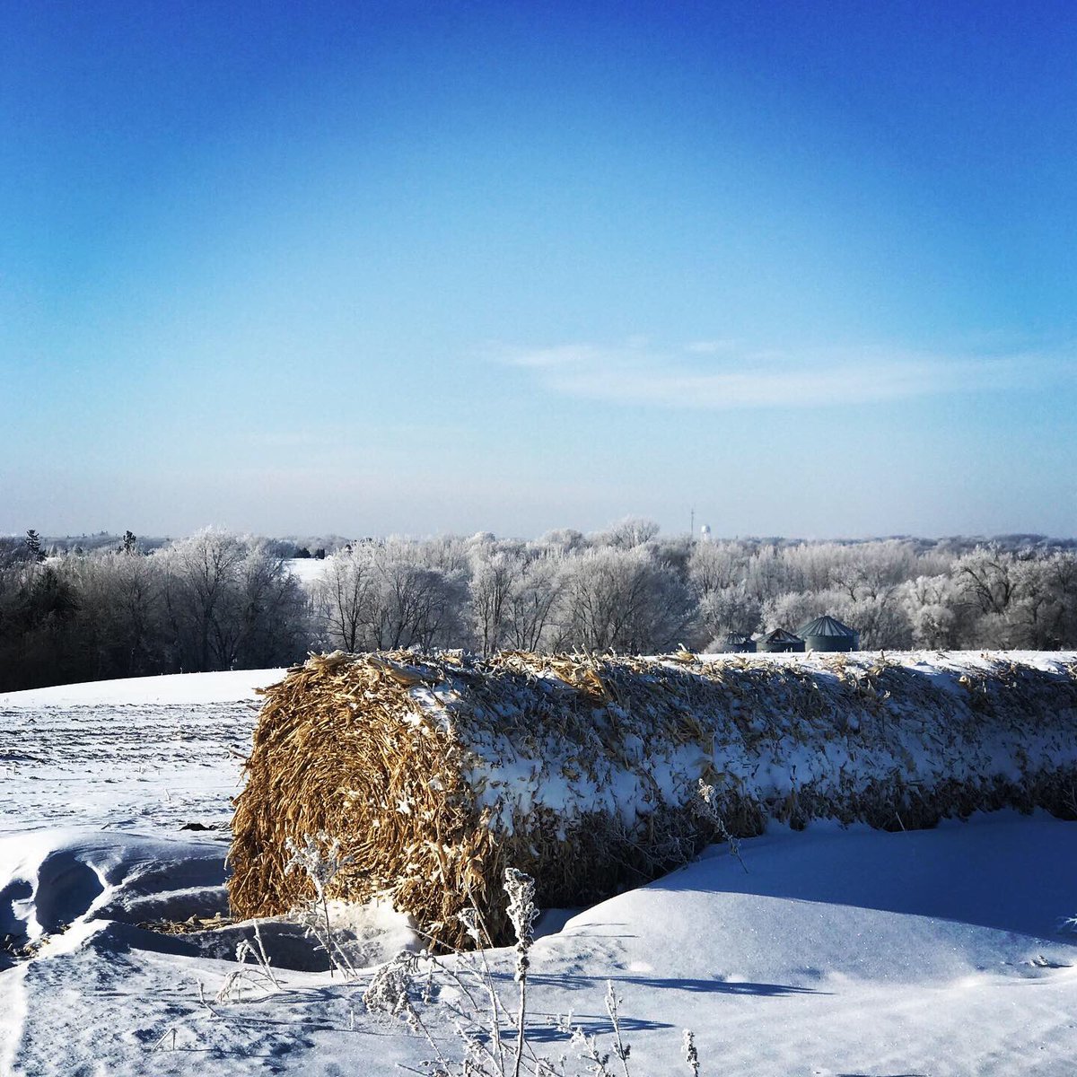 priortotheplate's tweet photo. A beautiful Minnesota winter morning!   #agriculture #MNag #frostymorning #Minnesotawinter #priortotheplate https://t.co/1mFe2C8sdh