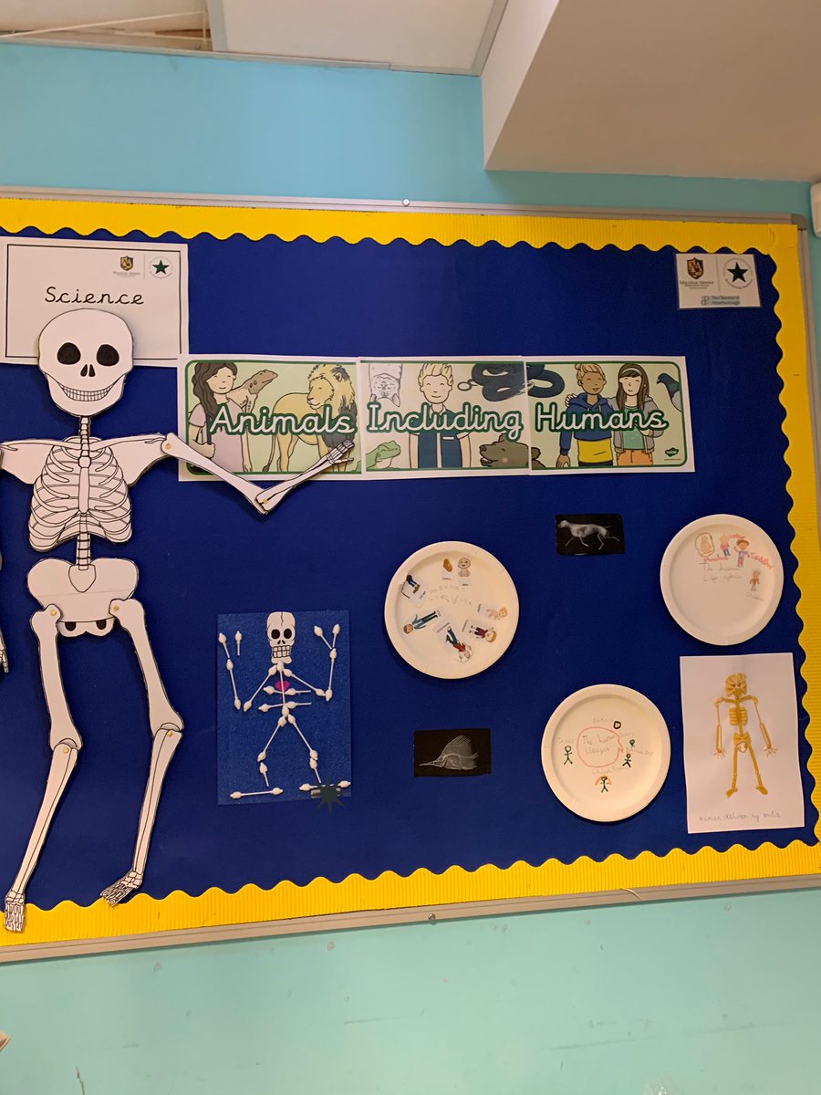 tay_kennedyh's tweet image. Amazing home learning done by my Year 1 class (including a pasta Skeleton), they loved learning about the human body #LearningRocks #Science
