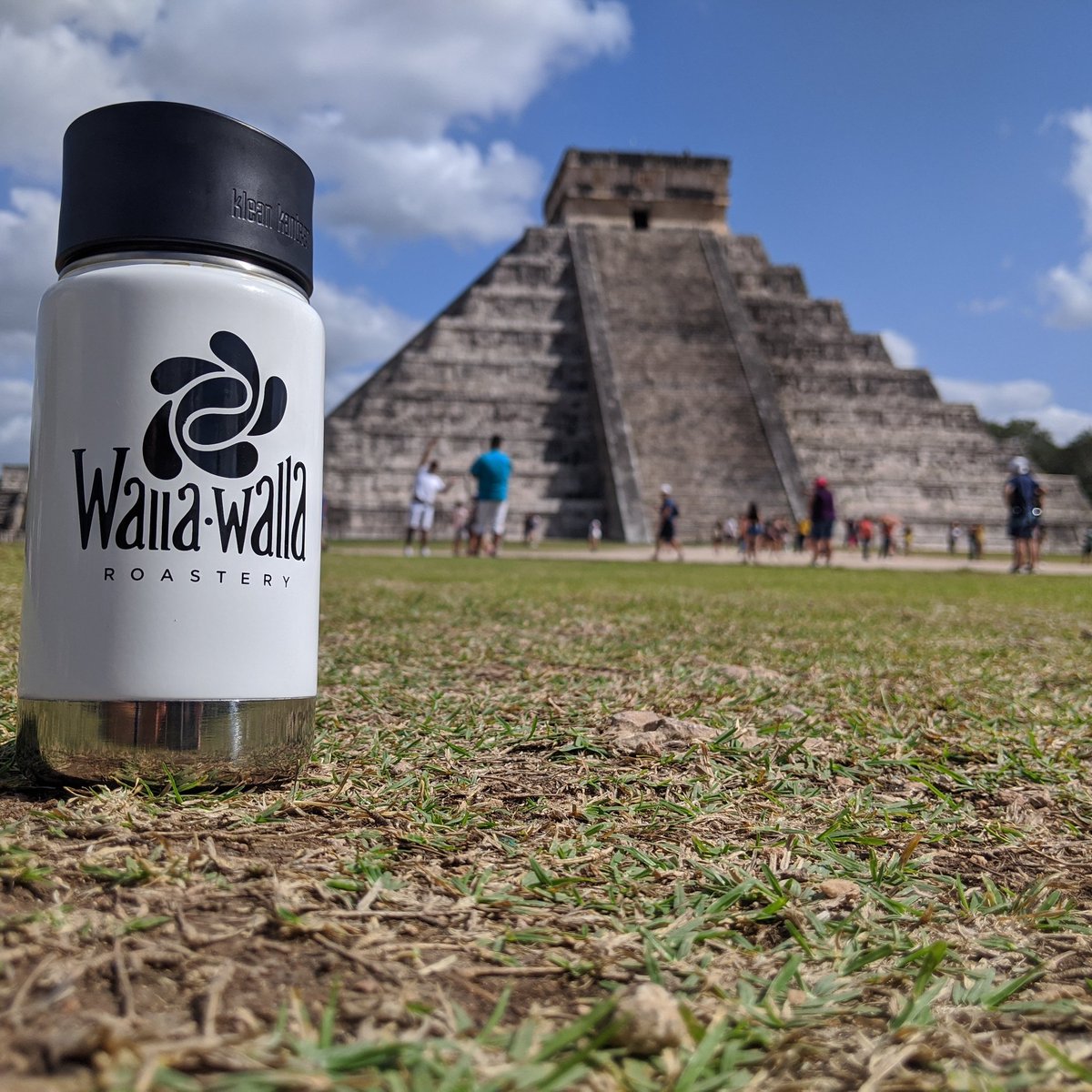 Here we see one of the Seven Wonders of the World! Oh and Chichén-Itzá was pretty cool too 😉
•
•
•
•
#blackcoffeetradition #wheredoesyourcoffeetakeyou #visitmexico #vivagoodcoffee