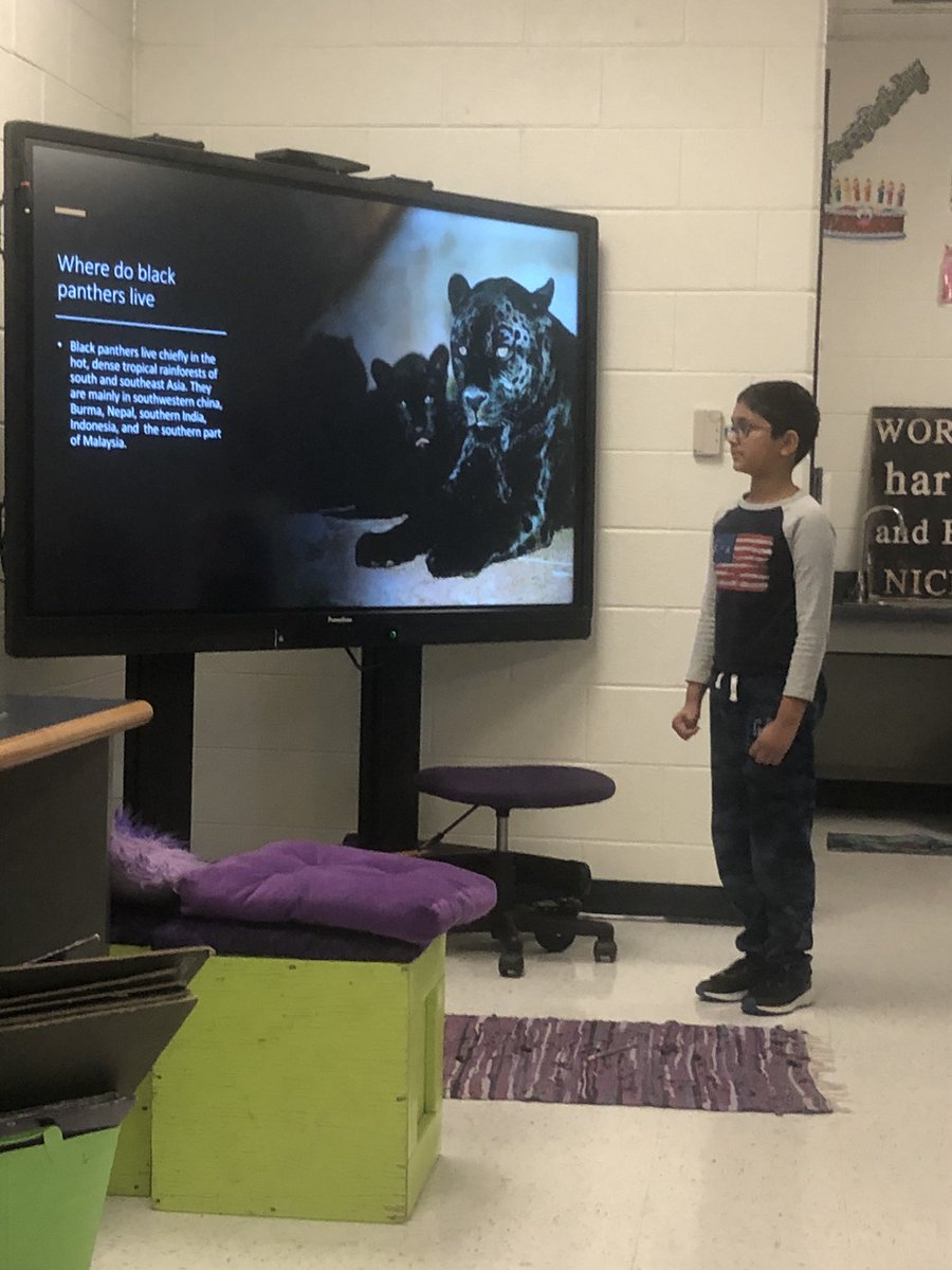 Stephanie Beth Shepard tweet media