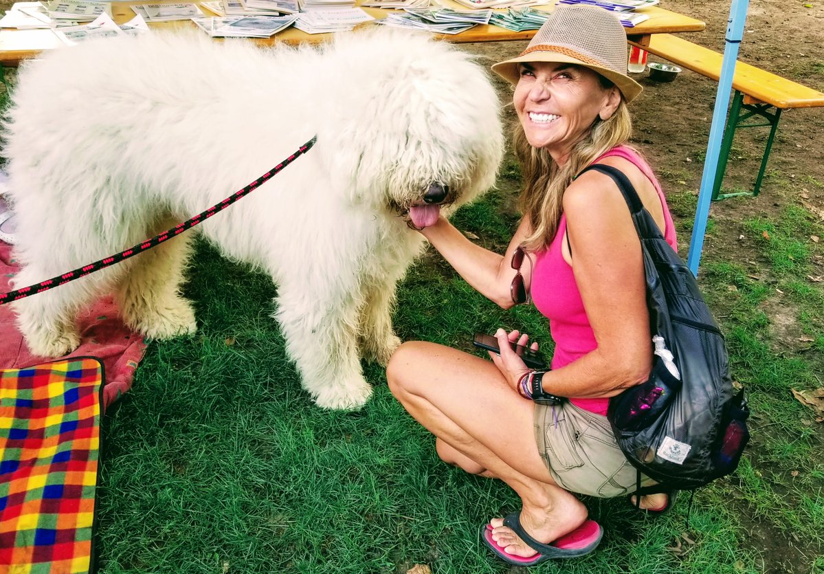 "My passion is rescue dogs and we support a lot of charities all over the world. The one that we are most passionate about is the Soi Dog Foundation in Phuket.”

The joy of this project is getting to chat with seriously cool vegans! veganinterview.com/post/masha-low…