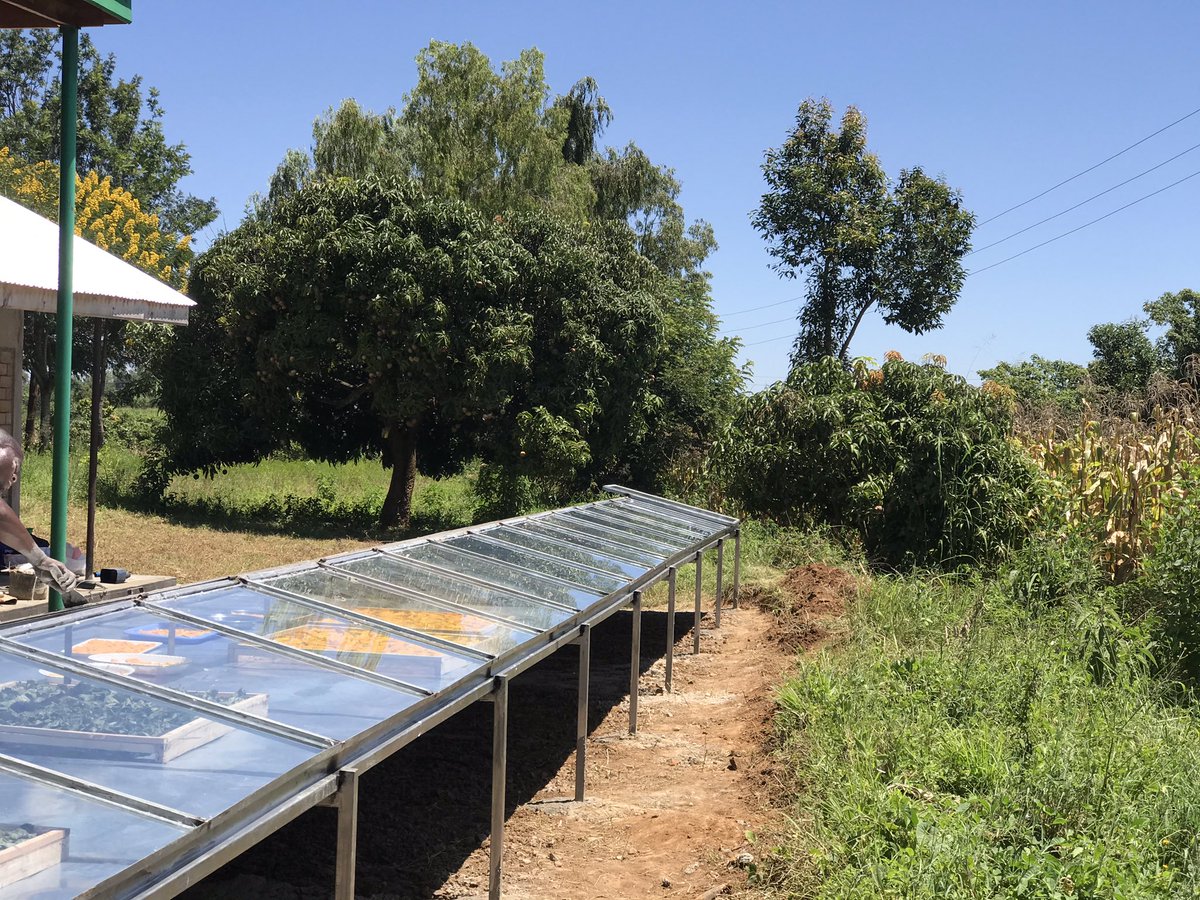 DrKathyKunyanga's tweet image. Value added mango products. Dried mango chips as we tested the newly installed solar drier.
#ValueAddition
#MangoProcessing