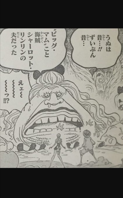 ワンピース パウンドの過去や正体とは ビッグマムとの関係や声優も紹介 Selvy