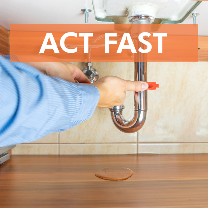 A leaky pipe left unattended will eventually cause a mold problem in your home. Have leaks and drips fixed right away to avoid bigger problems in the future.

#SERVPRO #mondaythoughts