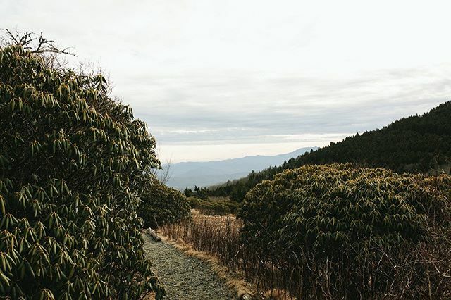 bailsbatten's tweet photo. Woke up this morning to no power or water. So Mia and I are headed to spend our morning at the coffee shop with fingers crossed the power is back on when we come home for lunch. .
.
.

#baileybattenphotography #ashevillephotographer #elkinphotographer #northcarolinaphotograp… https://t.co/yqJe6j40RU