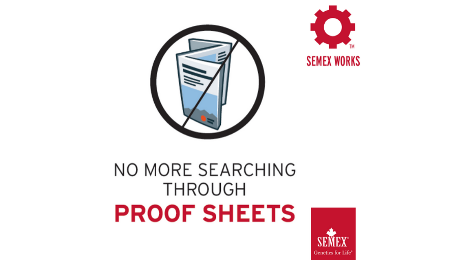 Semex's tweet photo. In 2020 don't waste time searching through proof sheets! Let SemexWorks™ do the work for you!
#SemexWorks #Semexgfl https://t.co/5wkqCIZWIq