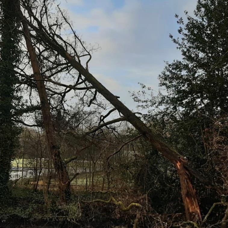 Cardiff Council tweet media