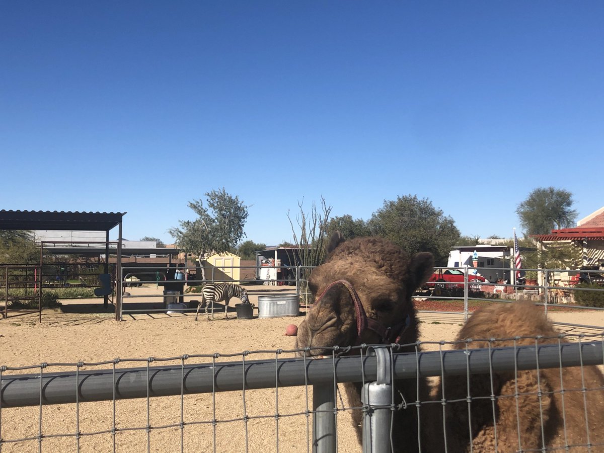 docs_place's tweet photo. Happy Monday morning from our neighbors over here at @docs_place! We love stopping by to see these adorable BFF's who live down the street from us. Aren't they cute?

#wontyoubemyneighbor #assistedliving https://t.co/gs3aLbphNU #mondaymotivation #mondaymorning #mondaymood https://t.co/nNI11Ca4Tl