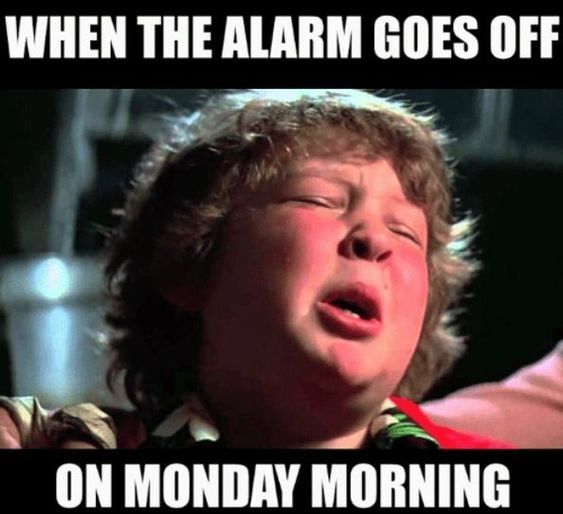CenturyClearbrk's tweet photo. Starting Monday off with a trip down memory lane! Who remembers The Goonies!
#CenturyClearbrook #TheGoonies #CenturyLiving #MondayAgain https://t.co/j8aVVVoEc9