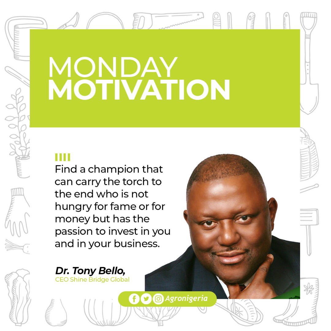 shinebridgegbl's tweet photo. “Find a champion that can carry the torch to the end who is not hungry for fame or for money, but has the passion to invest in you and your business.”⁣
⁣
- @TonyBello6, CEO of Shine Bridge Global⁣
⁣
@agronigeria #agronigeria #shinebridgeglobal #tonybello #nigeria https://t.co/BlCGw0csnc