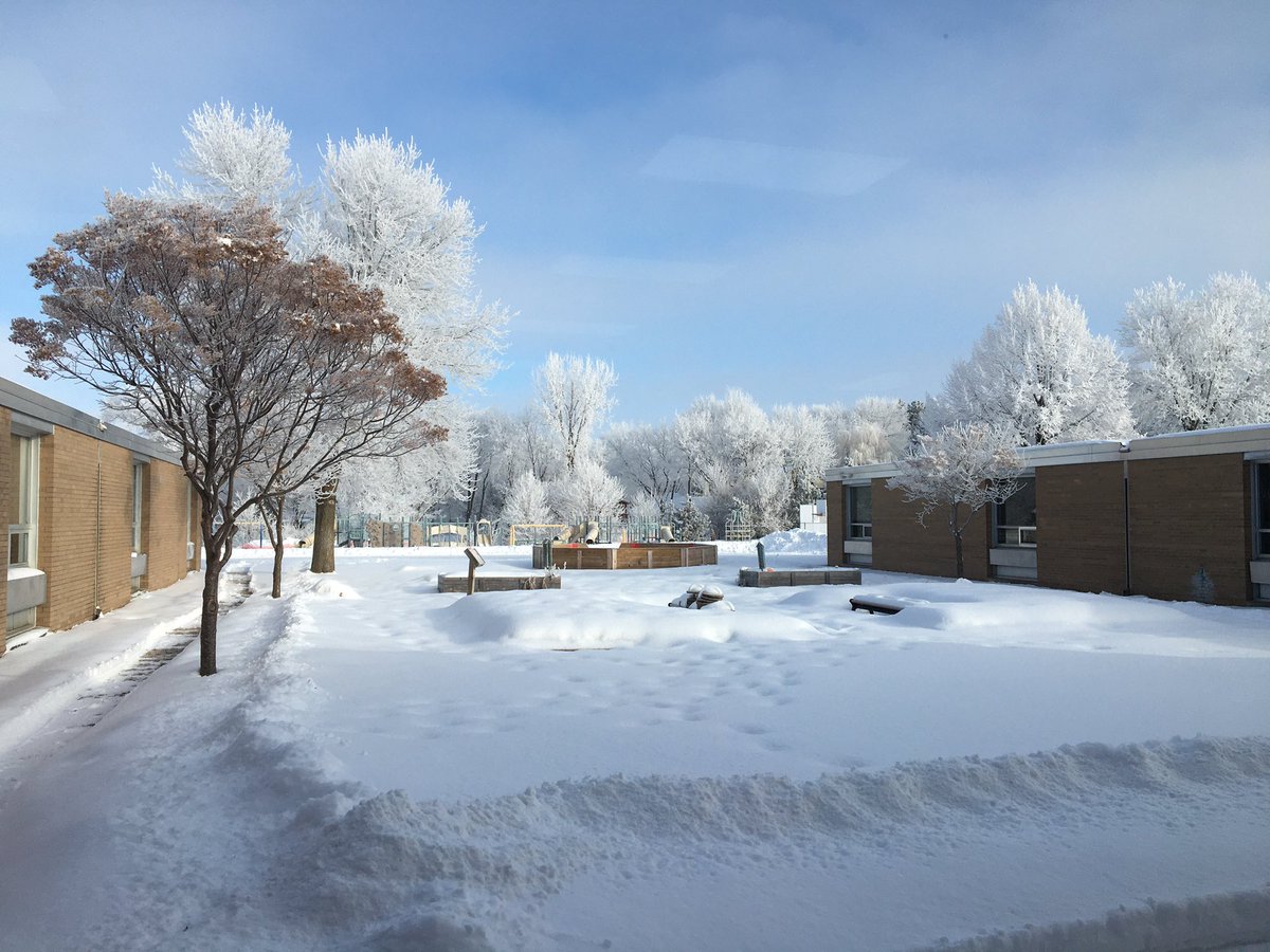 The view out the art room window this morning - thankful for natural light and nature’s beauty!