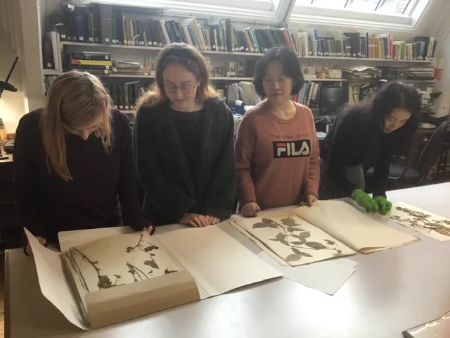 Image from Herbarium Manchester (@Aristolochia)