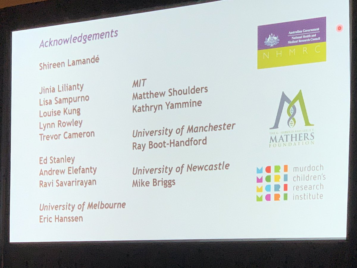 McAlinden_Lab's tweet photo. Fantastic talk by John Bateman on using iPSCs to model cartilage disease in vitro. #ipscs #typeIIcollagen #ecm #chondrogenesis #hypertrophy #geneticdisease https://t.co/YZz5plK9hd