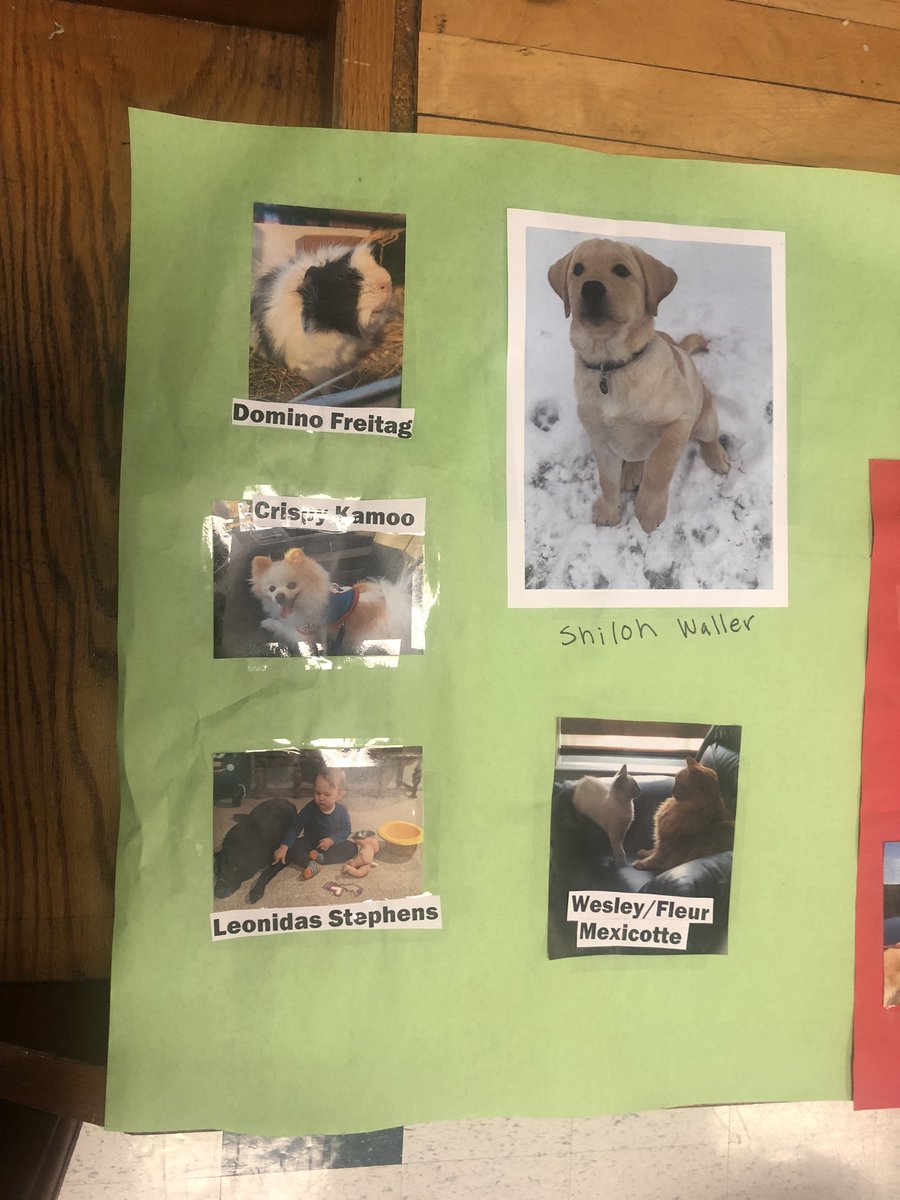 ms_hornn's tweet photo. The Teacher’s Pet Contest is back this week at OLMS! Put money in the jar of the pet you think is the cutest! The pet with the most money wins the crown! All donations go to Michigan Humane Society! #teacherspet #NJHSatOLMS #teamIvy @BlaineMcDowell @JennyBirmelin @AprilTini1 https://t.co/KfhWBCHv5V